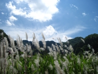 美しい田園風景