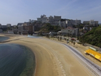 過去のイベントの模様