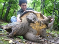 ヘンな生き物、捕ってさばいて食ってみた