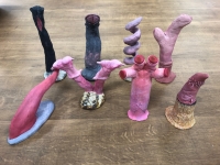 様々な生き物の陰茎模型8種