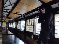 イマーシブ屋形船シアター　　イメージ