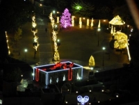 Sweet Memory in アメリカ山公園　2013