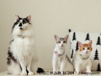 ねこ休み展 秋 2017