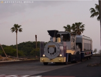 ナイトアドベン NIGHT ADVEN