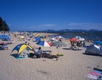 過去のイベントの模様