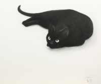 高橋行雄　作品1.黒猫見上げる