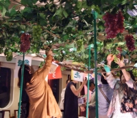 ぶどう狩り体験&山梨ワインクルーズ(以前の開催時の様子)