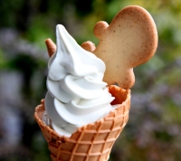 3周年記念オオサンショウウオソフト　※イメージ