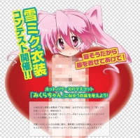 雪ミクﾗ衣装コンテスト