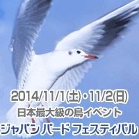 ジャパン・バード・フェスティバル2014