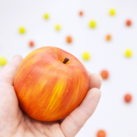 POP, 小笠原圭吾, 2013～