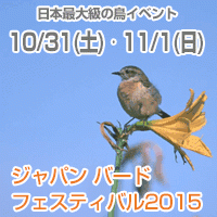 ジャパン・バード・フェスティバル2015