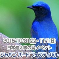 ジャパン・バード・フェスティバル2015