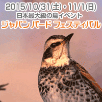 ジャパン・バード・フェスティバル2015
