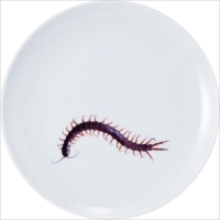ムカデの皿