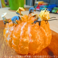 ミニチュア写真の世界展