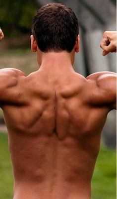 マッチョカフェ