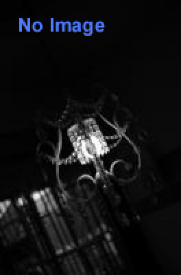 時空新聞社特命記者～明治時代の予言者の謎を解け！～ 