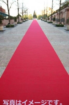 フランス：カンヌ国際映画祭（Festival International du Film de Cannes）