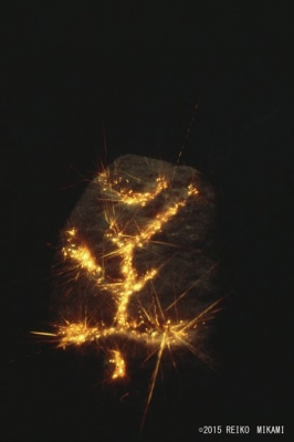 三上 浩 硄グリフ展 “QUAUGLYPH” 