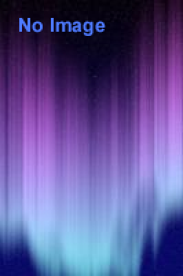 宇宙から見たオーロラ展2014