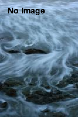 大江戸きもだめし