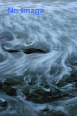 伊達五十七騎戦国武者行列～牛鬼出現秋の陣～