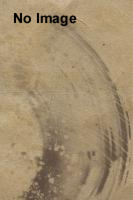 「進撃の巨人」プロジェクションマッピング【4月10日・12日・13日】