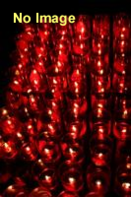 増田ぴろよ 「新宿回転ベッド - 男犬 - 」