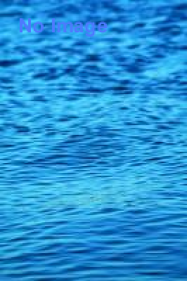 海洋堂×小池徹弥「ネイチャー・ジオラマ・ワールド」