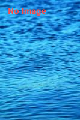 第二回　ダムマニア展　DAM MANIA FESTA　2013