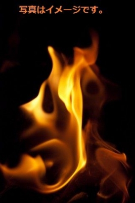 タール樽担ぎ競争2014(オッタリータールバーレル)Ottery Tar Barrels：イギリス