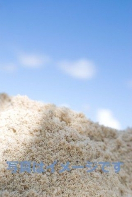 ハンプトンビーチ　砂の彫刻コンテスト（Hampton Beach Master Sand Sculpting Competition）：アメリカ