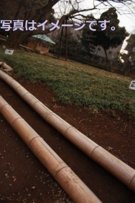 竹馬祭り（Danza de los Zancos）：スペイン