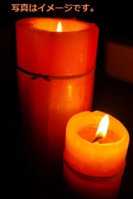 ワックス キャッスル フェスティバル（Wax Castle Festival)2013：タイ