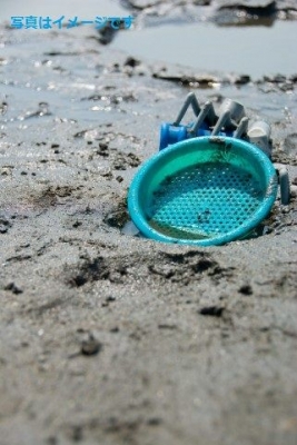 第17回　保寧マッドフェスティバル(Borieong Mad Festival)2014：韓国