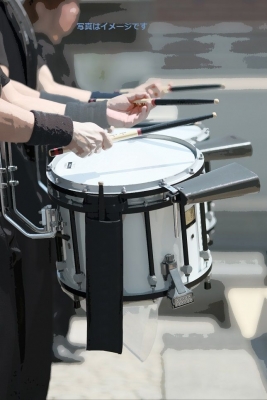 ハミナ・タトゥー（International Military Music Festival）：フィンランド