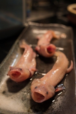 奇食ナイトOSAKA 2nd