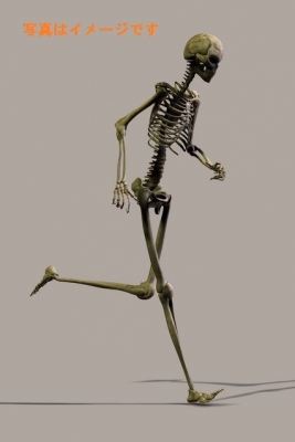 死者の日　Day of the Dead 2014 (Dia de los Muertos)：メキシコ