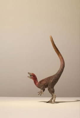 シンブンシキョウリュウ博