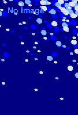 ウォーターガンバトル＆真夏のメリークリスマス2015