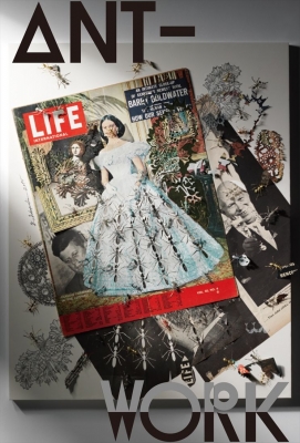 小林和史個展　　ANT-WORK　一枚の紙から切り出される寓話