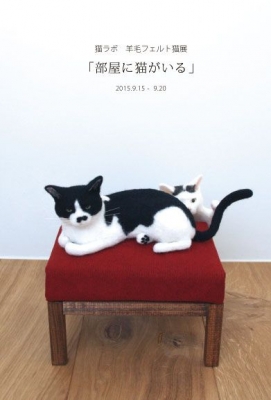 部屋に猫がいる