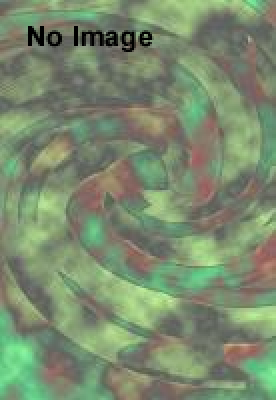 第16回　全日本かくれんぼ大会 