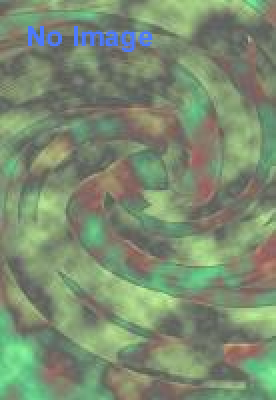 裏切りのリミット（期間中土祝日開催）