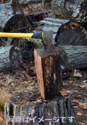 デンマーク：ヴァイキング・フェスティバル　野外バイキング劇（Vikingespil）