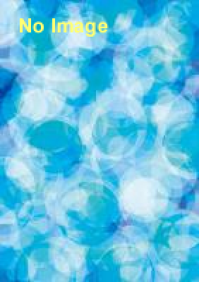 海のカフェフェス in 横浜