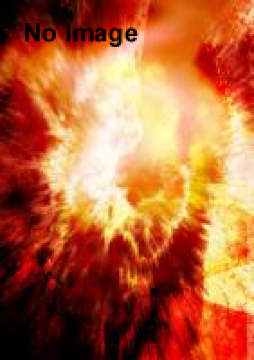 AEROSONIC(エアロソニック)：エアロスミス＆B’ｚ　ライブ