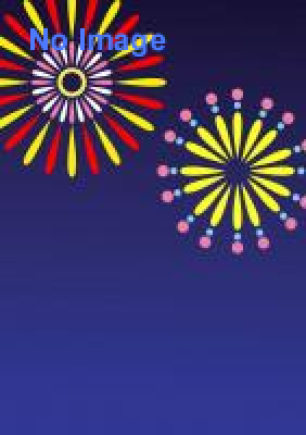 全国新作花火競技大会