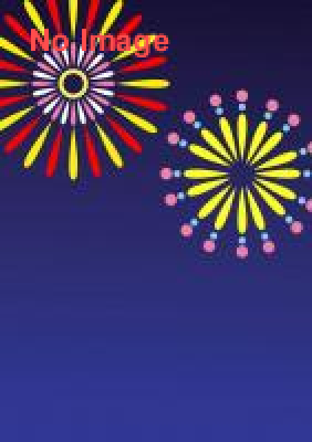 第12回 こうのす花火大会